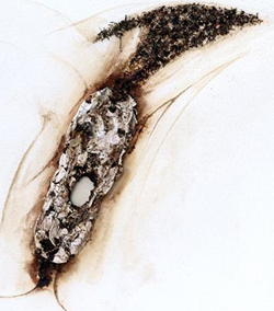 Natura de Natura : bianco Titanio, 2001 (part.)